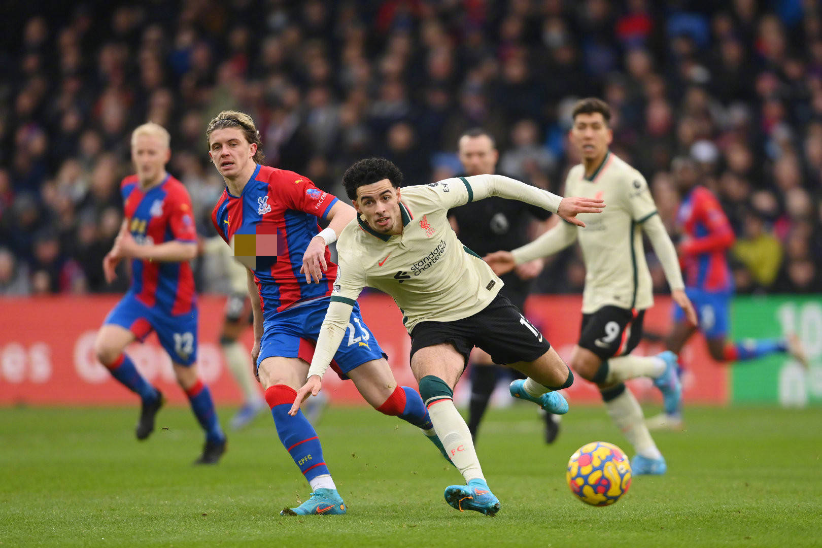 展现他们的 展现他们的